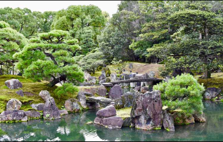 Éléments du Jardin japonais